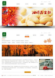 煙臺楓林食品 多元化產(chǎn)業(yè)與網(wǎng)億高端網(wǎng)站建設(shè)的協(xié)同發(fā)展